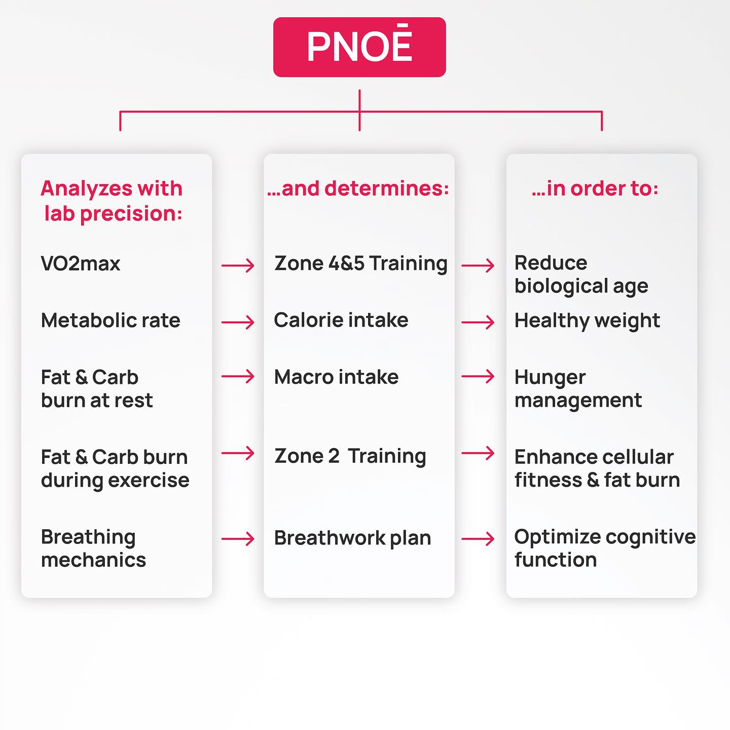 Metabolic Assessment