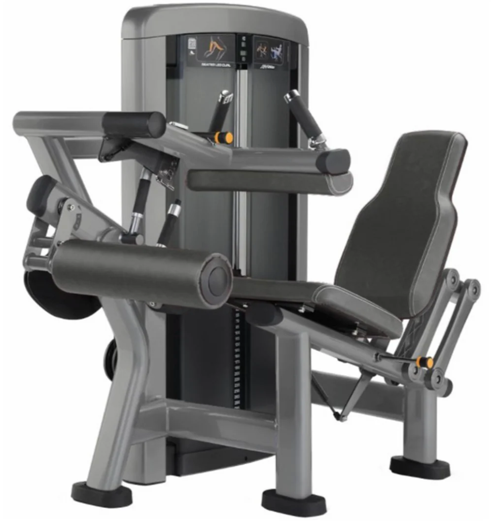 Insignia Series Seated Leg Curl